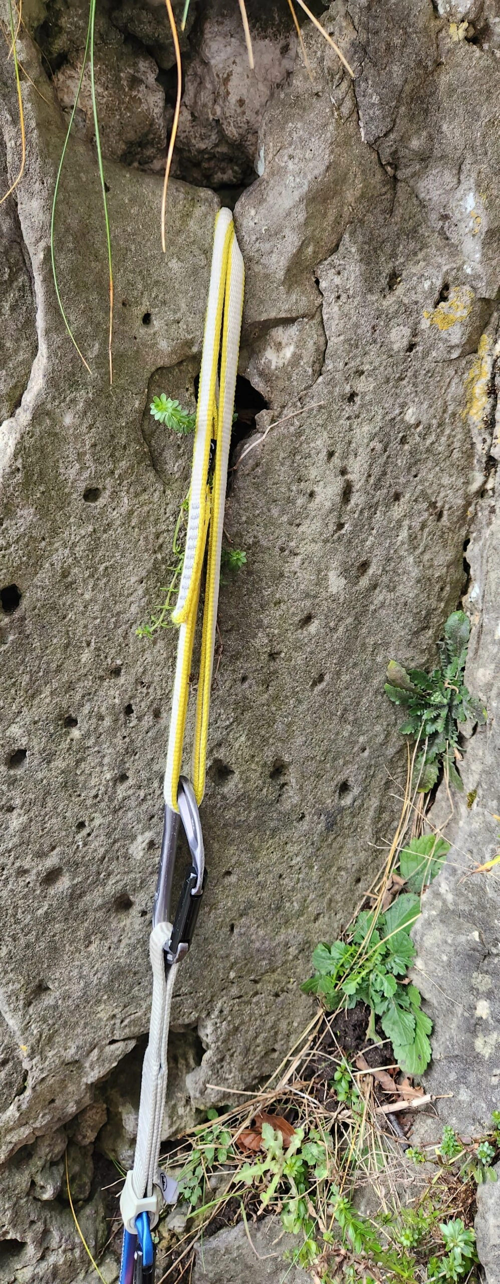 Taśma 60 cm w uchu skalnym